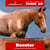 Annuncio cavallo