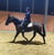 Horse ad