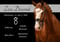 Horse ad