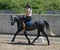 Horse ad