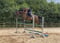 Annuncio cavallo