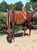 Horse ad