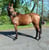 Horse ad