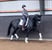 Horse ad