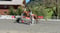 Paardadvertentie