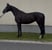 Horse ad