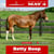 Horse ad