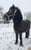 Horse ad