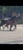 Annuncio cavallo