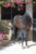 Horse ad