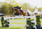 Annuncio cavallo