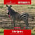 Pferdeinserat