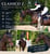 Horse ad