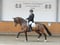 Horse ad