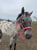 Horse ad