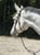 Horse ad