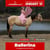 Horse ad