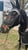Horse ad