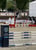 Annuncio cavallo