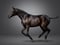Annuncio cavallo