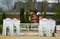 Annonce cheval
