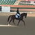 Annuncio cavallo