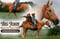 Annuncio cavallo