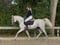 Horse ad