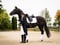 Annuncio cavallo