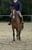 Horse ad