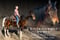 Horse ad