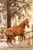 Horse ad