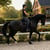 Horse ad
