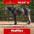 Horse ad