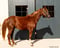 Annuncio cavallo