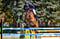 Horse ad