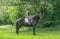 Annuncio cavallo