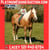 Horse ad