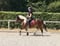 Annonce cheval