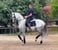 Horse ad