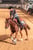 Horse ad