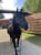 Annuncio cavallo