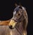Horse ad