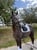 Horse ad