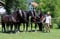Horse ad