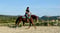 Horse ad