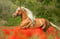 Anuncio de caballos