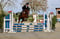 Annuncio cavallo