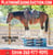 Horse ad