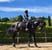 Annuncio cavallo